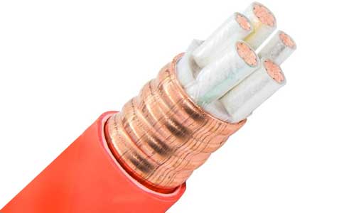 <a href='http://www.7pbuy.cn/kuangwuzhidianlan/' target='_blank'><u>礦物質(zhì)電纜</u></a>